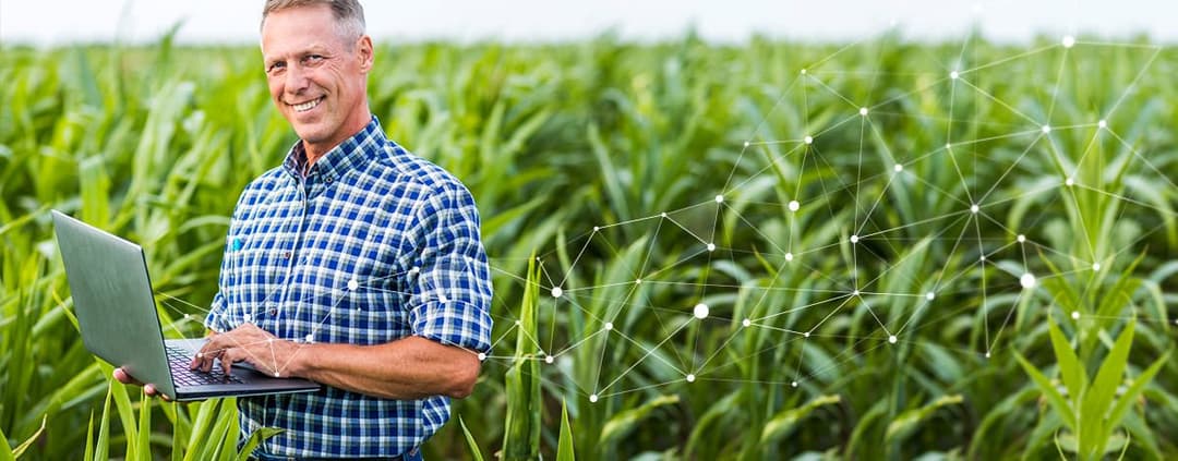 AGRIVI Transparency Key Factor
