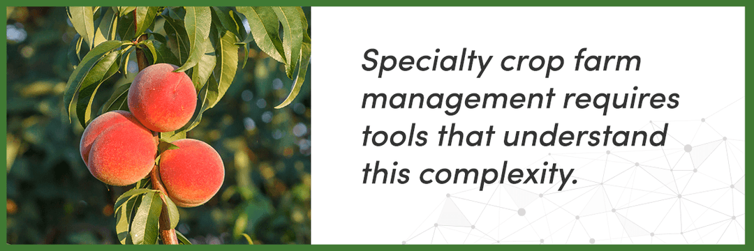 Three core challenges of specialty crop farm management: multi-variety management, labor coordination, and cost attribution, illustrated with icons on an AGRIVI green background.
