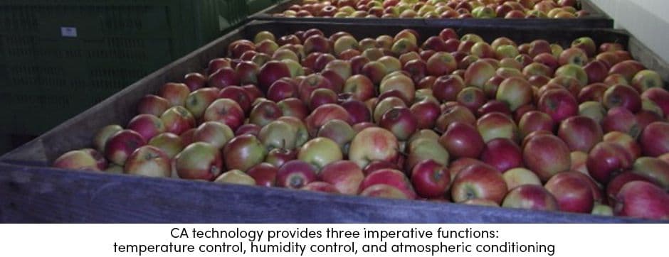 CA Technology