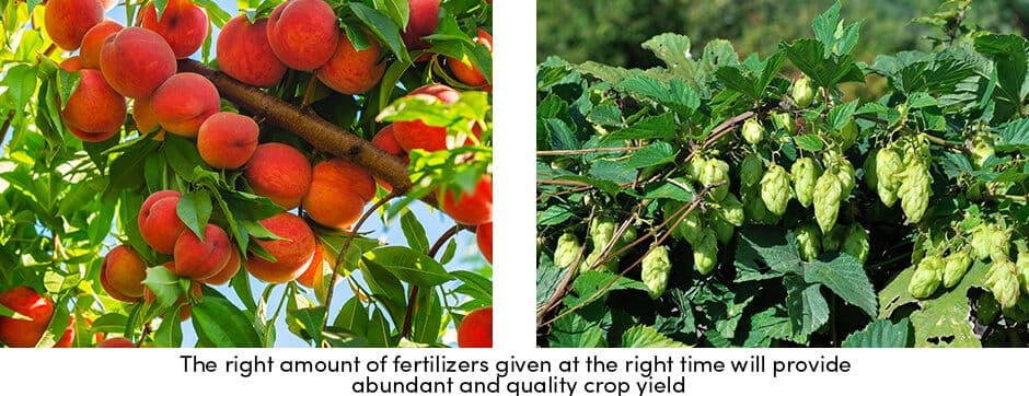 Fertilizers