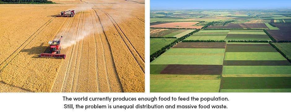 Food Production