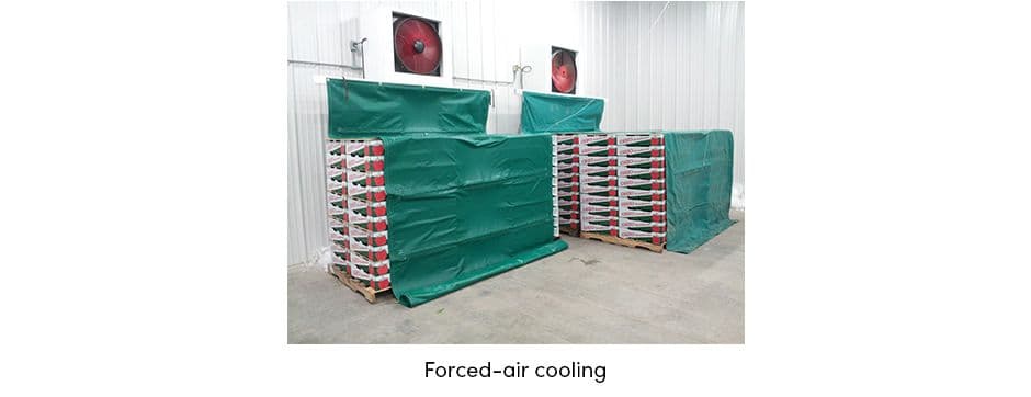 Forced-Air Cooling