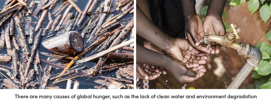 Global Hunger Causes