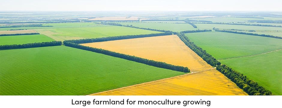 Monoculture Growing