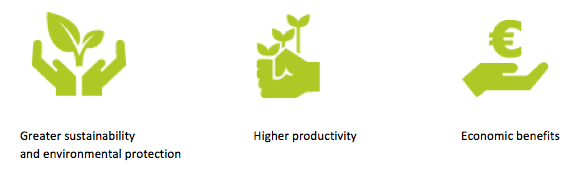 Producing More with Less