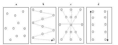 Image of Soil Analysis dig pattern