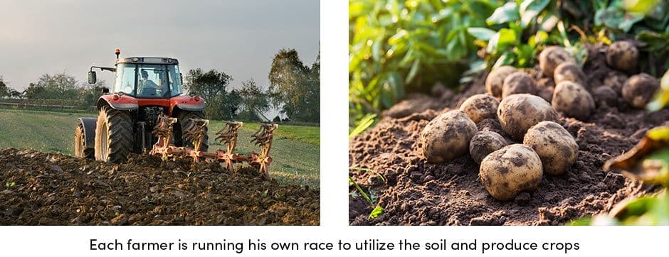 Soil Utilization