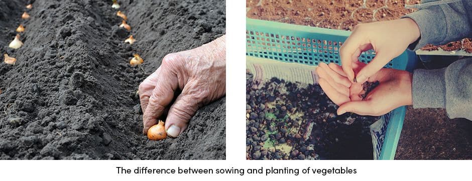 Sowing and Planting