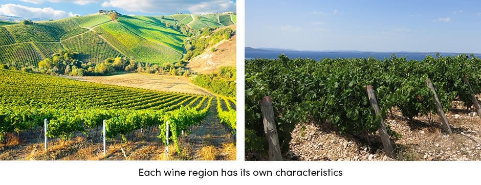Wine Region