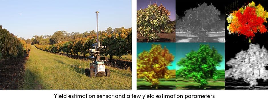 Yield Estimation Sensor