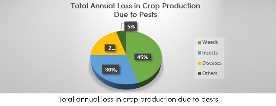 Annual loss due to pests