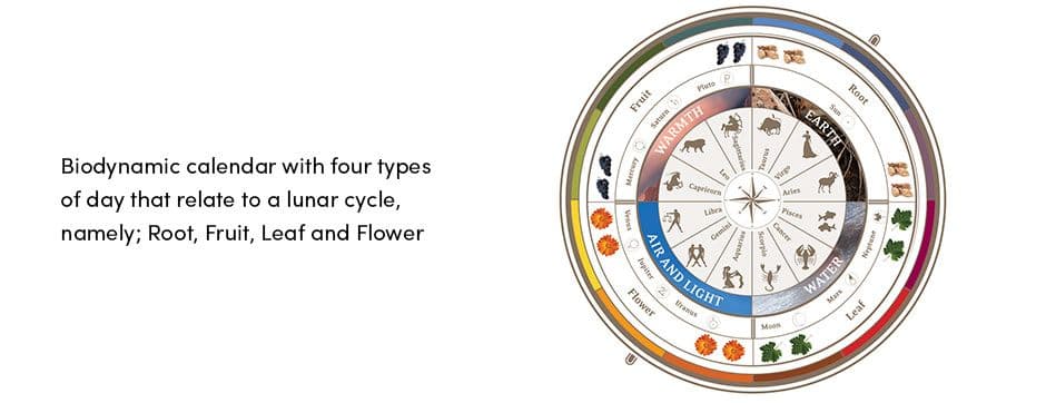 Biodynamic calendar