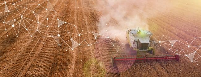 agrivi investment