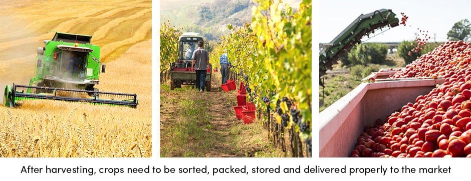 Crop Packaging Process
