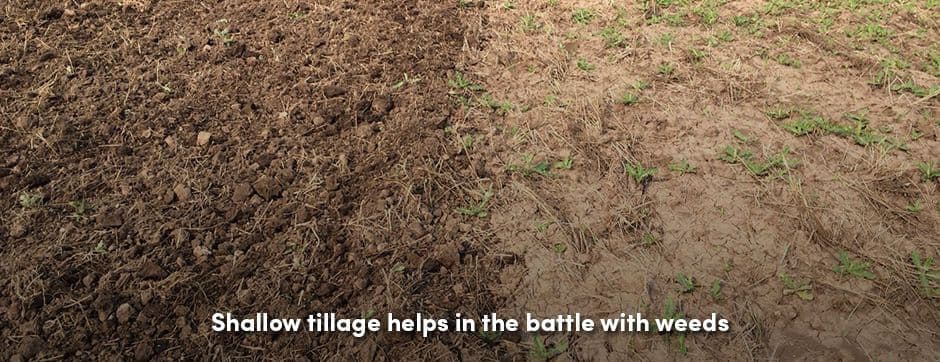 Plowed Field