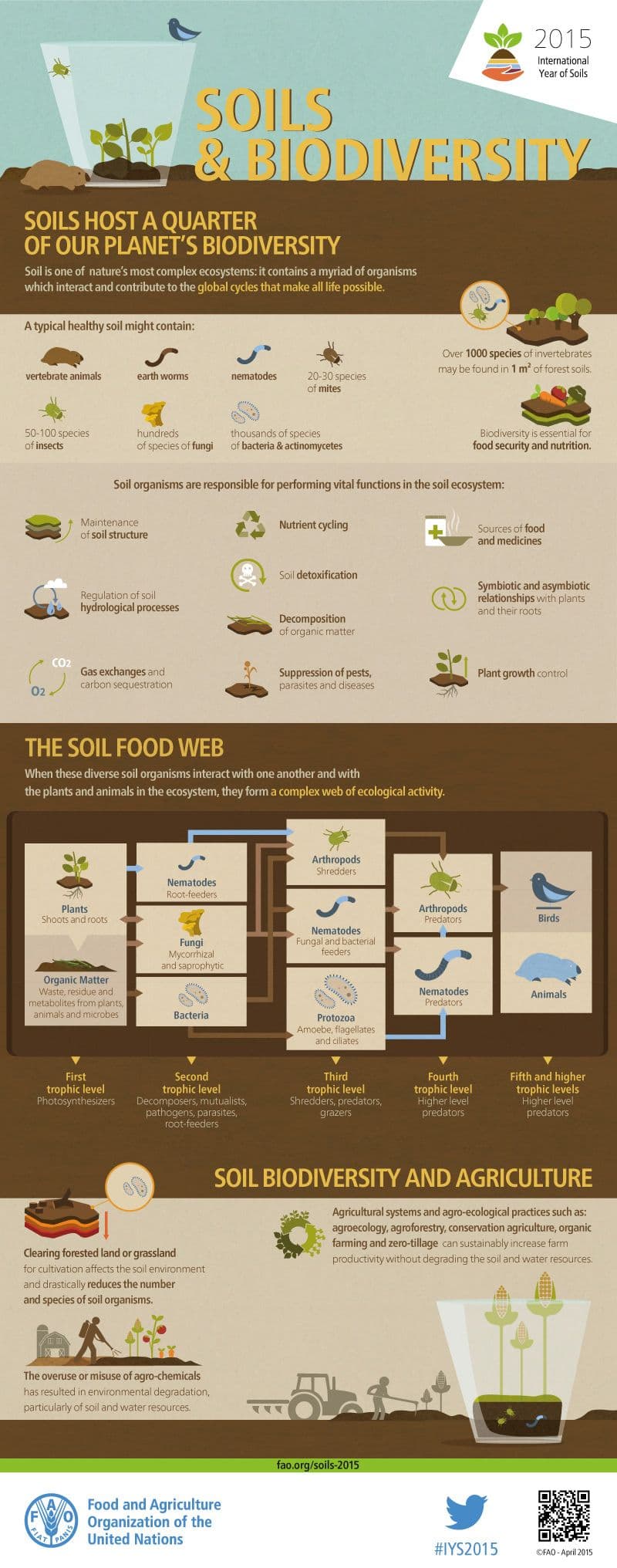 soil-biodiversity