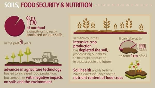 soil-nutrition