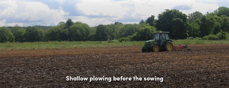 Tractor Plowing Field 2