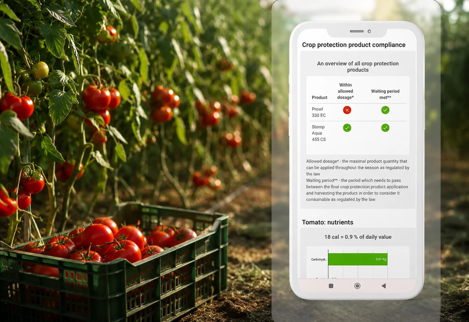 Crate of harvested tomatoes in the field next to an AGRIVI 360 FMS crop protection compliance screen showing allowed dosage and waiting period checks