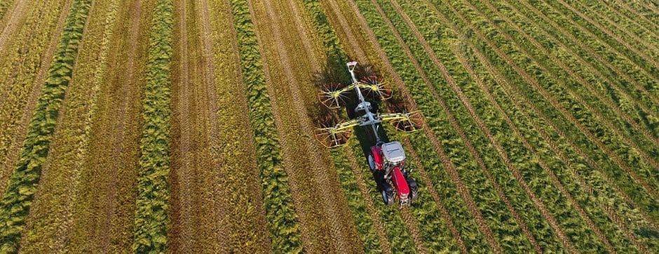GlobalG.A.P. and AGRIVI: For Safer Food and a Better Business