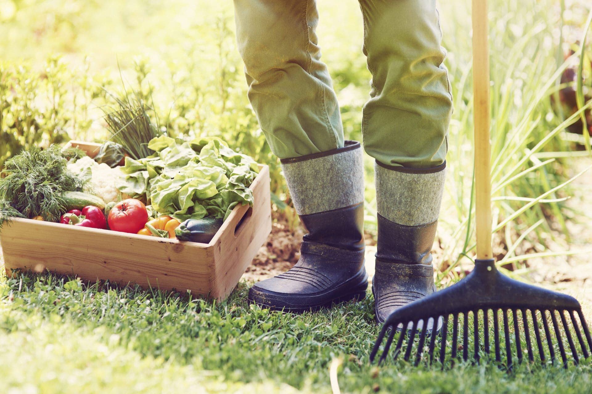 Conventional Farming against Sustainability