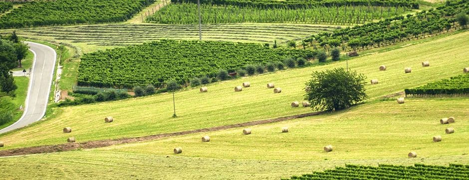 4 Field Facts Every Farmer Should Know