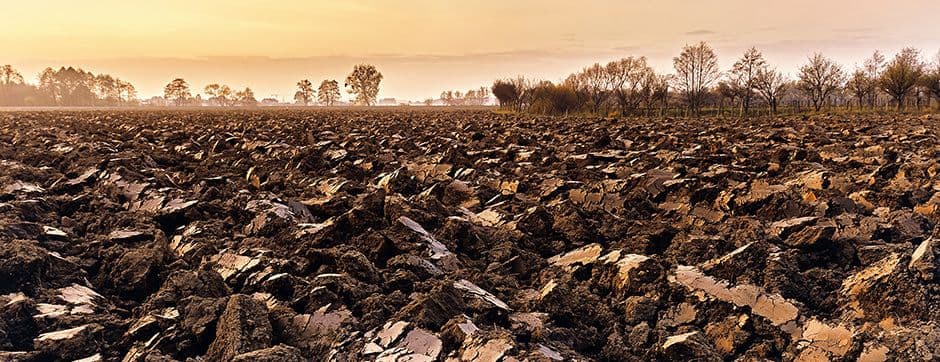 6 Soil Performance Indicators That Will Boost Yield