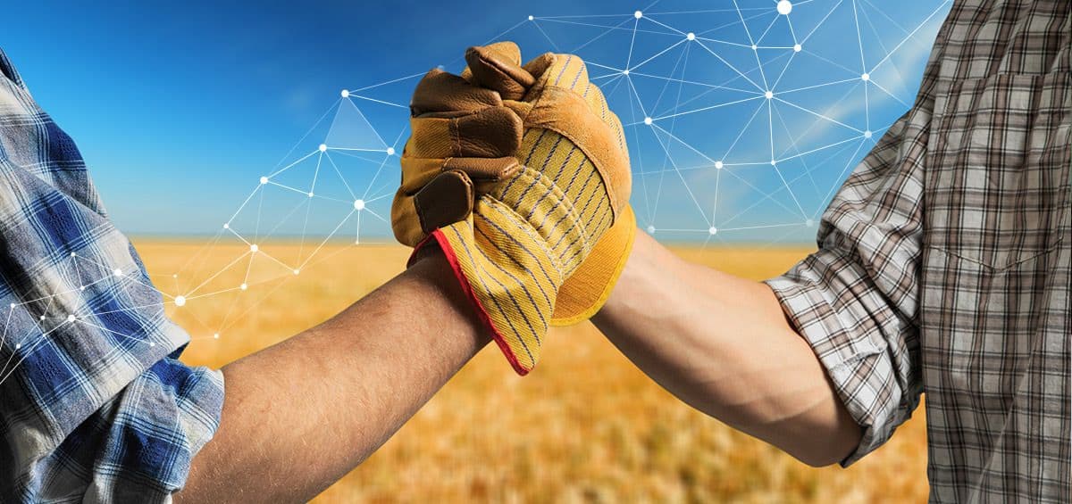 Transparency: A Key Factor for Efficient Supply Chain Management