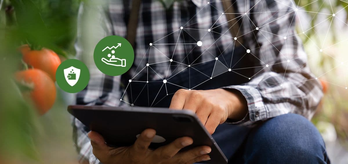 Enterprise Farming: Embracing Innovation and Maximizing Profit in Times of Uncertainty