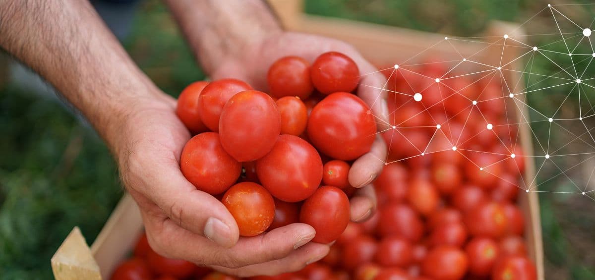 World Food Safety Day: How ESG Regulations Drive Transparency in the Food Industry?