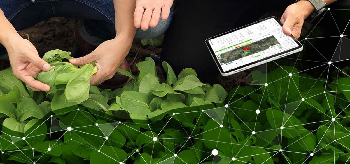 Agricultural Sustainability and Intensive Farming Practices