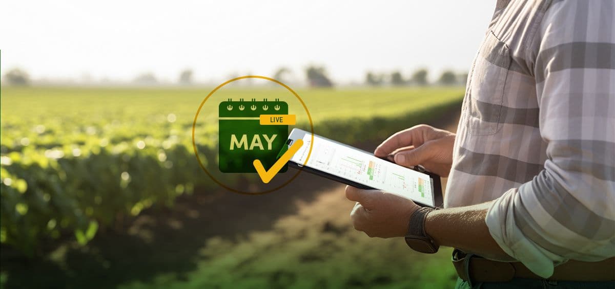 Budget vs. Actual in Farm Management: Why Most Farms Find Out Too Late