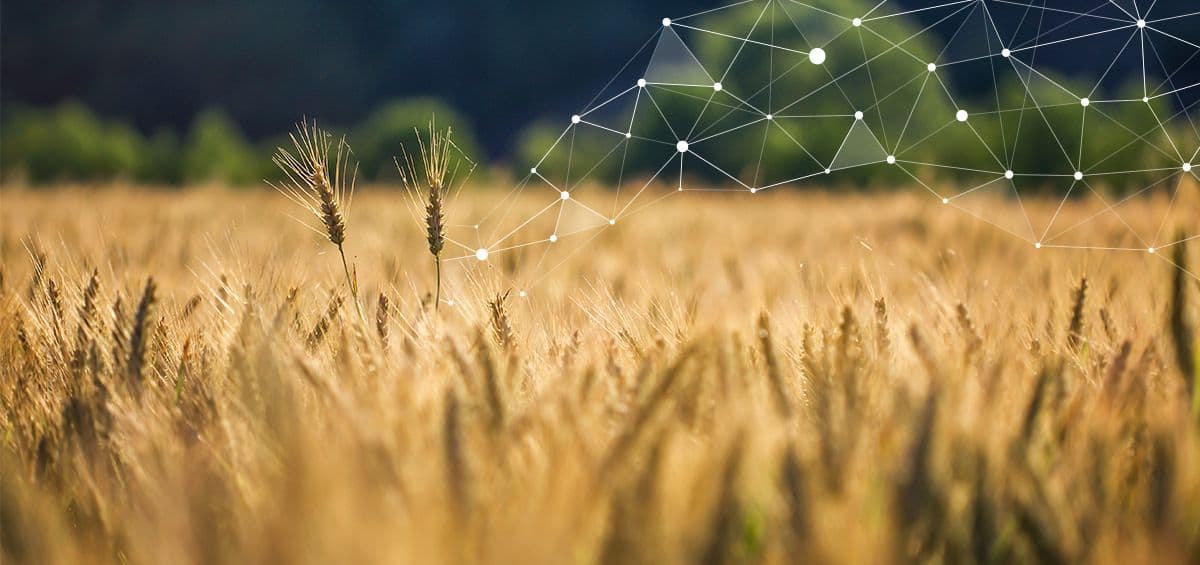 Key Learnings In 5 Years About Digital Agriculture