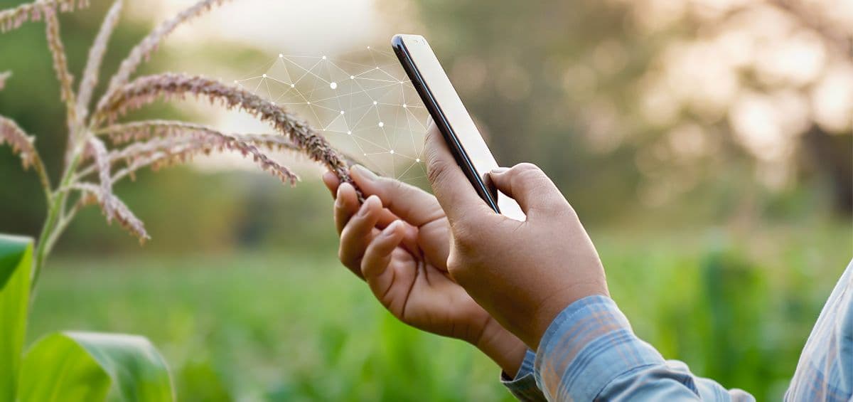 7 Steps on How to Digitize Farm Production