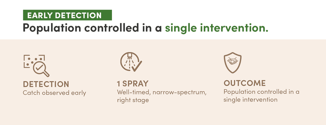 Early Detection diagram showing: Detection (catch observed early), 1 Spray (well-timed, narrow-spectrum, right stage), Outcome (population controlled in a single intervention). Population controlled in a single intervention.
