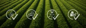 Four cost components of cost per hectare calculation: inputs, machinery, irrigation, and farm management - illustrated over a green crop field