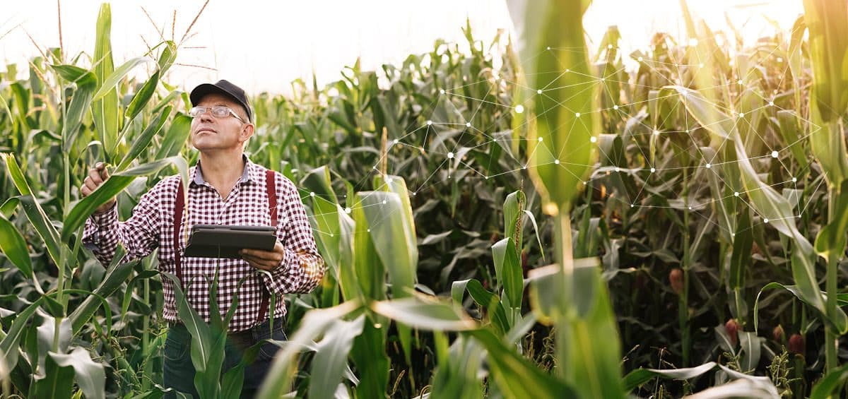Farm Digitalization for Better Success of EU Projects