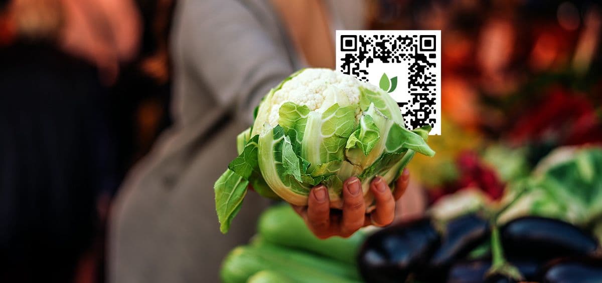Entering the Era of Food Transparency: What You Need to Know about EU’s Greenwashing Directive?