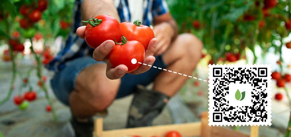 Food Traceability: The Story Behind the Food You Eat