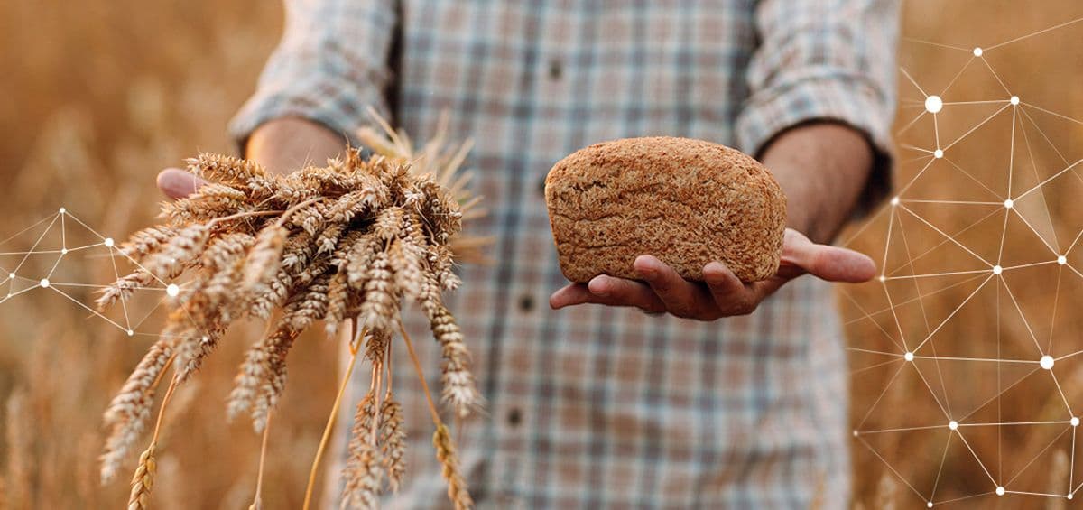 Strengthening Local Production With Digital Agriculture