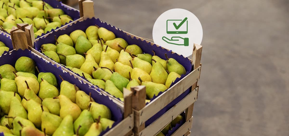 Managing Post-Harvest Success with AGRIVI: Control Product Recall Risks and Ensure Practices Compliance