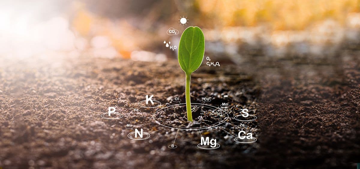 The Power of Data in Sustainability Reporting
