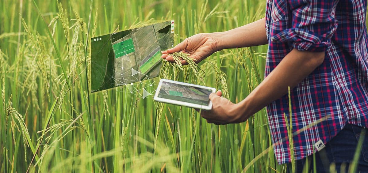 Growing Together: AGRIVI and Vasham Partnered to Transform Agriculture in Indonesia