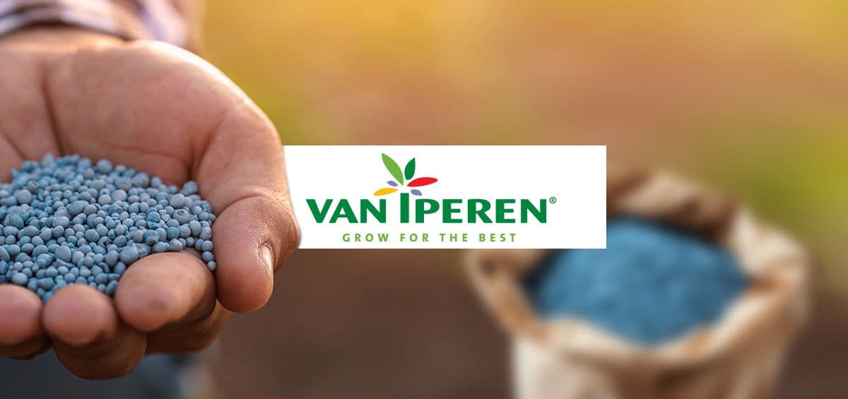 Van Iperen International Launches VIDA, a Digital Advisor to Empower Farmers