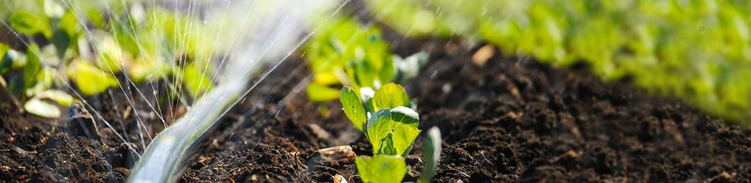 Irrigation system