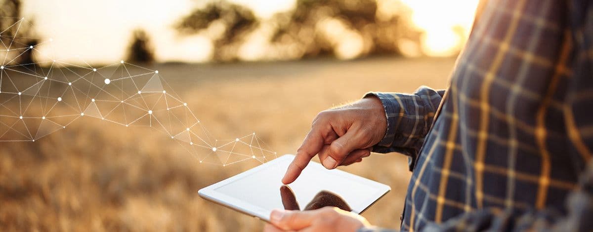 Cereal Farming with AGRIVI Software