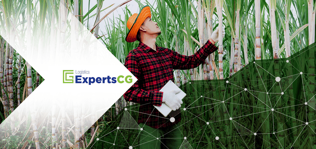AGRIVI and The Logistics Experts Consulting Group Partner Up to Provide Innovative Solutions for Sugarcane Producers in the US