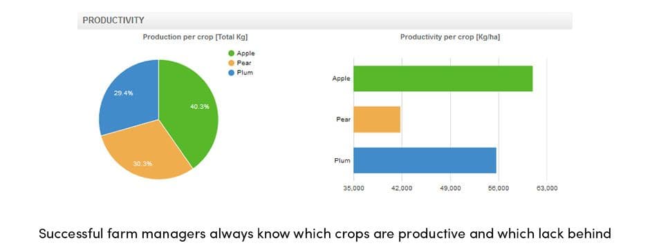 AGRIVI Productivity