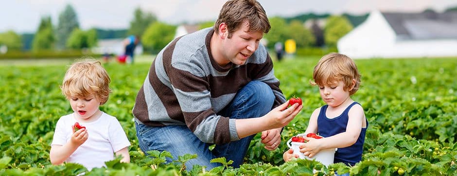 A Sustainable Approach Is a Unique Way to Connect Farm Practices With Nature