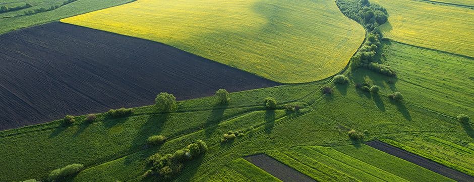 AgTech Boom with Remote Sensing Technology